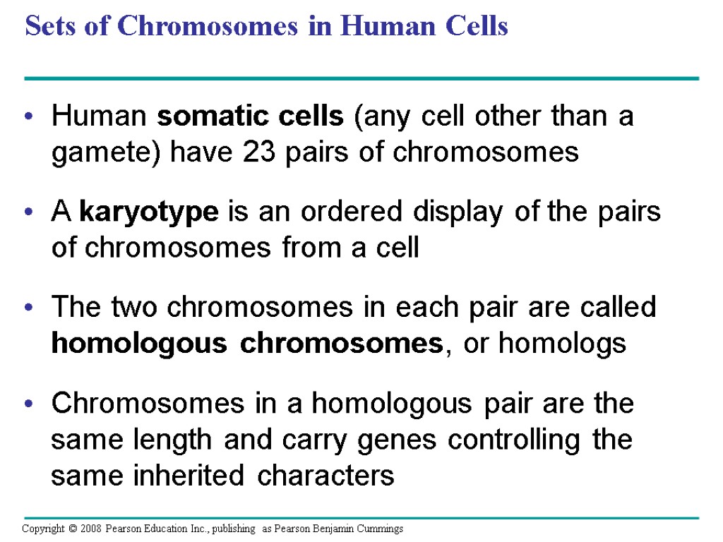 Sets of Chromosomes in Human Cells Human somatic cells (any cell other than a